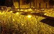 Liège : armes et cannabis saisis.